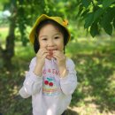 새콤달콤체리농장 이미지