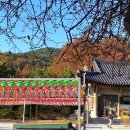 각원사길 | 충남 천안아산 단풍 각원사 절 방문후기 현재상황