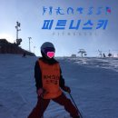 아림유도 스포츠클럽 | 엘리시안스키 강촌스키 스키강습 후기｜피트니스키 레슨 만족도 솔직 리뷰