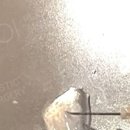 초이성형외과의원 이미지