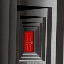 수랜드 이미지