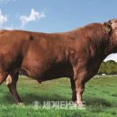 덕풍 2농장 이미지