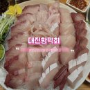 탕과막회 | 대진항막회 : 분당 판교 방어 맛집 야장 횟집 내돈내산 만족 후기