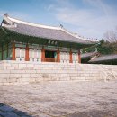 싱글 인 서울 이미지