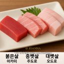롯데리아안양중앙점 | 사조회참치 안양일번가점, 시우 무한리필 참치의 신세계 참치부위 명칭과 특징