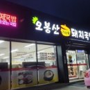 솥돼지
