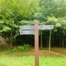 푸른도시가꾸기사업소 화장실 | [부산 해운대] 초록뷰 부산 피크닉 추천 : 해운대 수목원