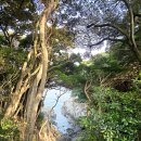 오동도 | 여수 오동도 산책로 후기 (feat. 1시간코스, 포토존, 꿀팁 총정리)