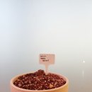 빵떡쿵 이미지