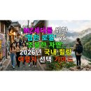 신호솔밭공원 | MZ세대를 위한 '힙한 로컬' vs '조용한 자연', 2026년 국내 힐링 여행지 선택 가이드