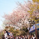 데메테르H 이미지