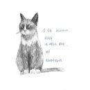 모라부산학원 이미지