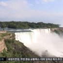 이과수