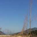 평사리공원 야영장 이미지