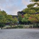 한티 별빛아래 관광농원 야영장 이미지