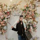 이비스앰배서더수원 | 이비스 앰배서더 수원 웨딩홀 계약 후기~!