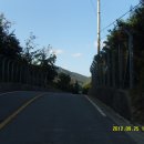 발산공원 Daum카페