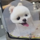 청운동물병원 이미지