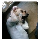 흠 이미지