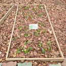 나무와중학교 이미지