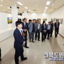 법인감나무