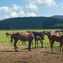 팜팜스테이 이미지