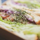 브런치&샌드위치 이미지