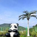 스타키즈 수영장 이미지