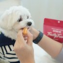 림피드 주식회사 이미지