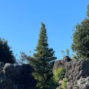 태수아쿠아 이미지