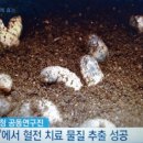 새날농장 이미지