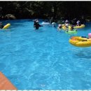 키즈태권도 이미지