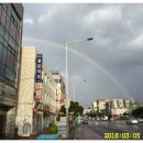 선광사 소장 목판본류 등 불경전적 일괄 | 제주도 6박7일 6일차 구두미포구~보목포구~제지기오름~쇠소깍~위미항~남원읍~제주동문시장