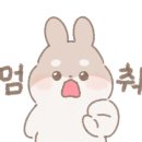 도토리서점 이미지