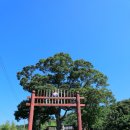 서천 이종선효자비 | 서천군 - 한산향교, 지현리 삼층석탑, 이종선 효자비, 이상재 선생 생가지