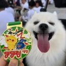 대전엑스포시민광장 | 2025 댕댕런 대전 엑스포시민광장 5km 후기