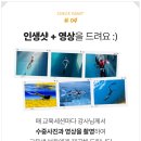 UR(수원시)-[창룡대로]-하-1 | [내돈내산] 첫프리다이빙 후기 :: 로꼬 프리다이빙 추천 :: 수원월드컵스킨스쿠버다이빙풀