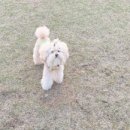 블랭크 테이스트