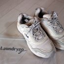 런드리 솔 이미지