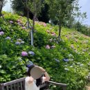 구미 다온숲화장실 이미지