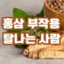 홍삼 부작용과 탈 나는 사람 특징은?