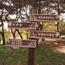 성호공원_식물원주변 이미지