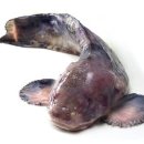 바다나라식당 이미지