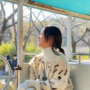 안녕고양이 이미지