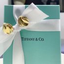 아일랜드 앤 코 이미지