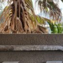 애월팔레스 이미지