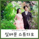 실버문헤어 이미지