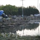 제주수월이 이미지