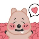 포포베이크샵 이미지