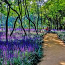 태화강 철새공원 이미지